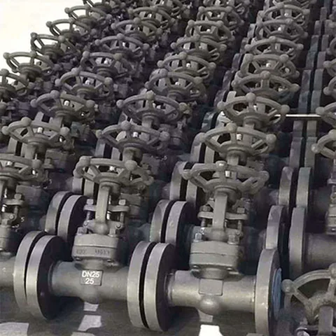 Class1200 Forged Gate Valve