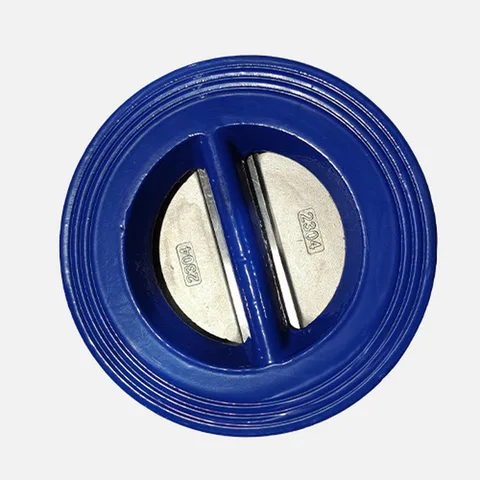 DH77X-16Q Check Valve