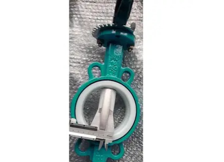 D71F4-10Q PTFE Lined PTFE Lined Butterfly Valve