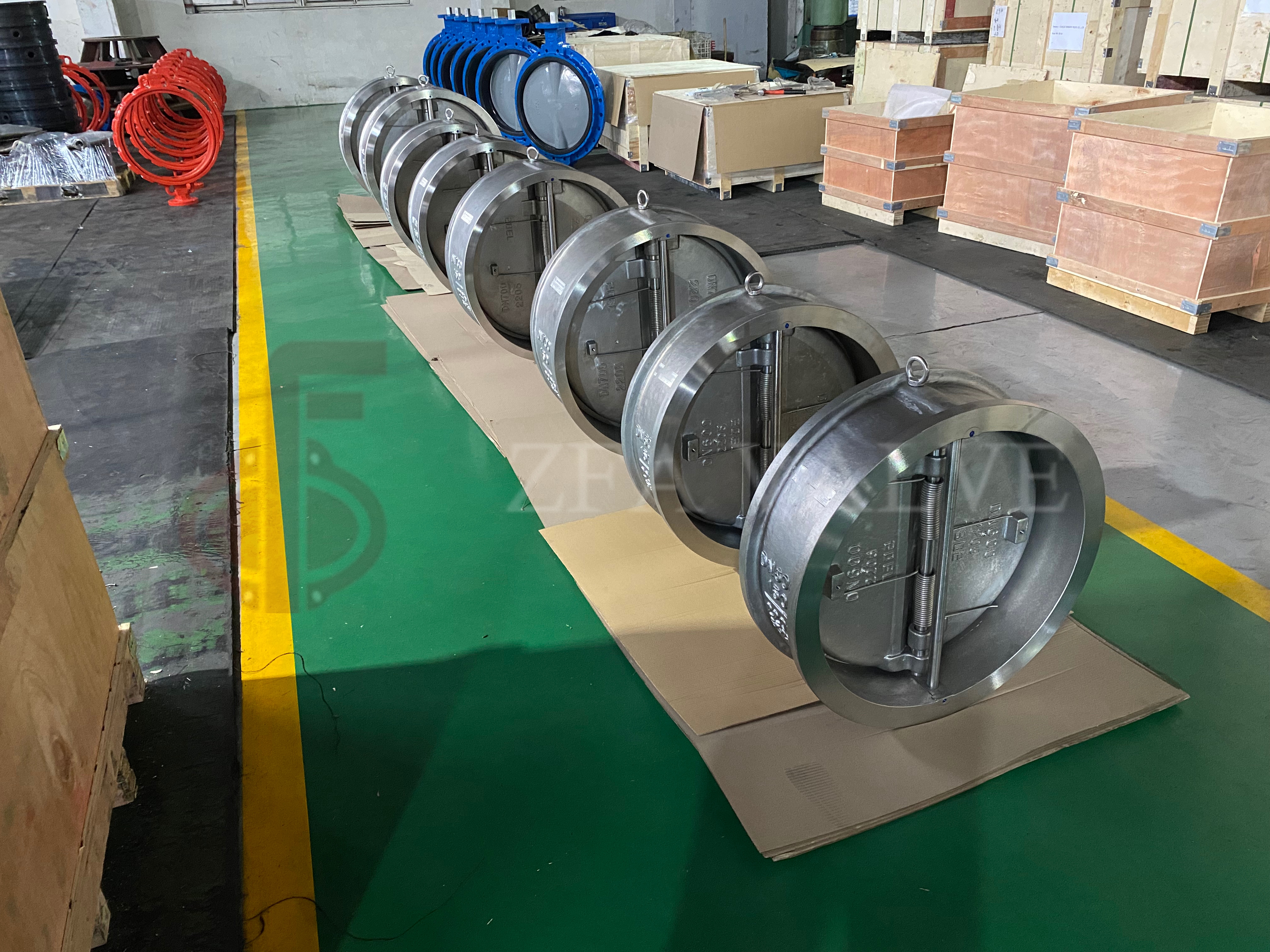 SS2205 Dual Plate Check Valve