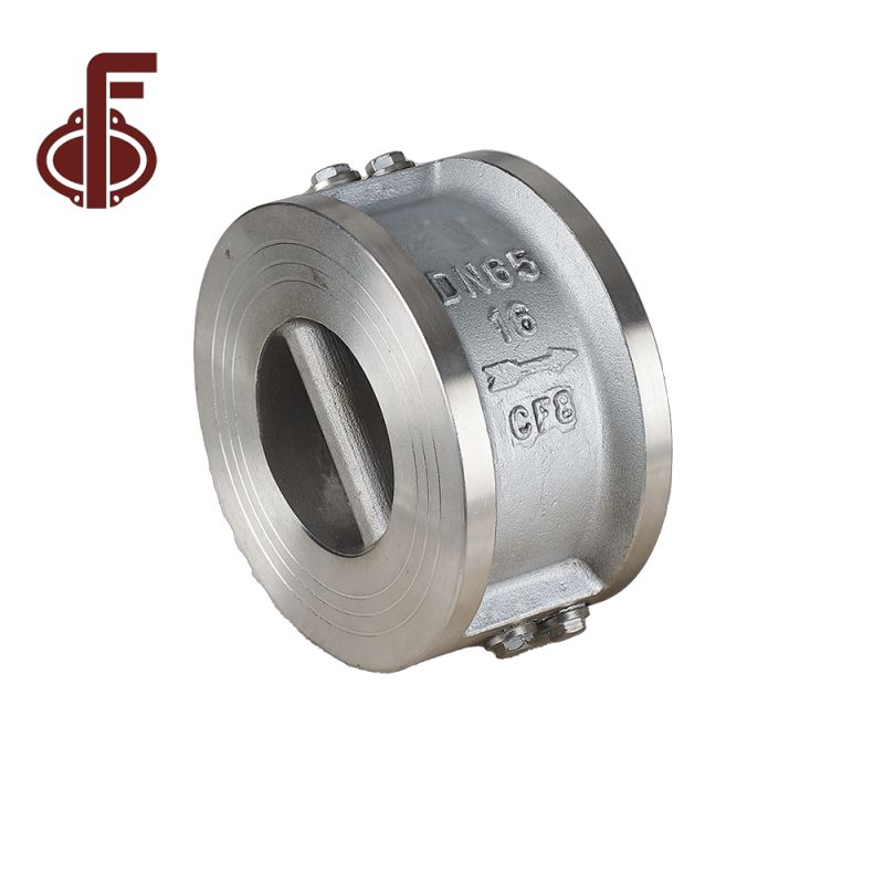 DI CI SS304 Dual Plate Check Valve