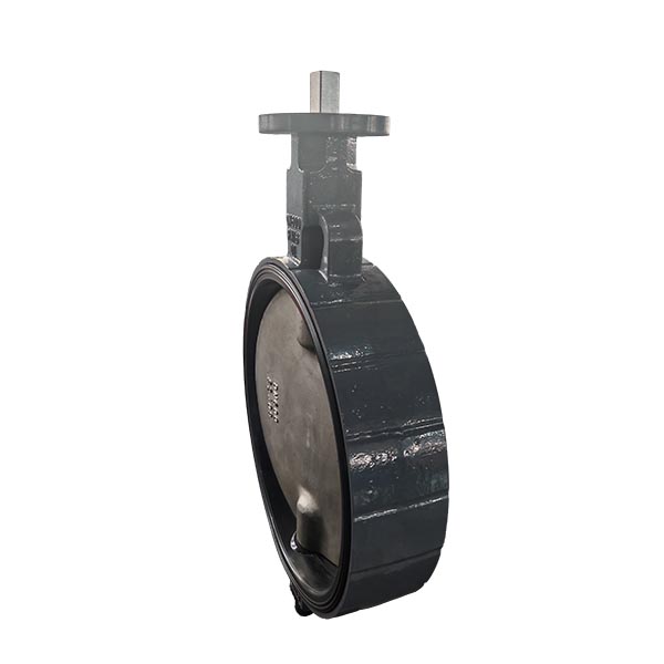 PN16 DN600 Double Shaft Wafer Butterfly Valve