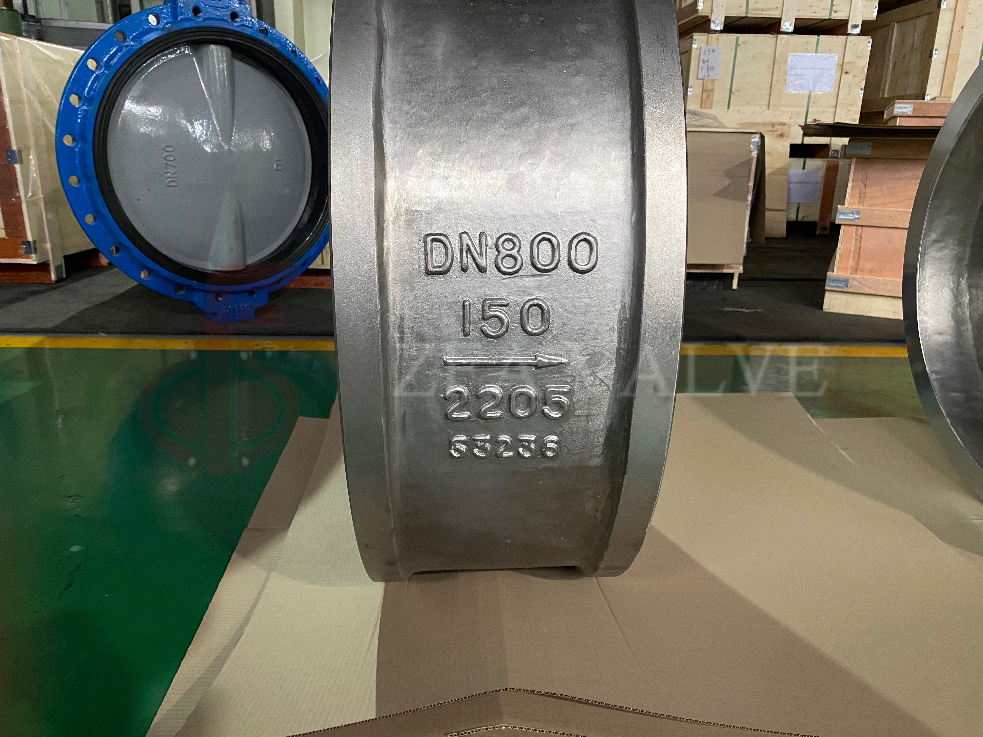SS2205 Dual Plate Check Valve