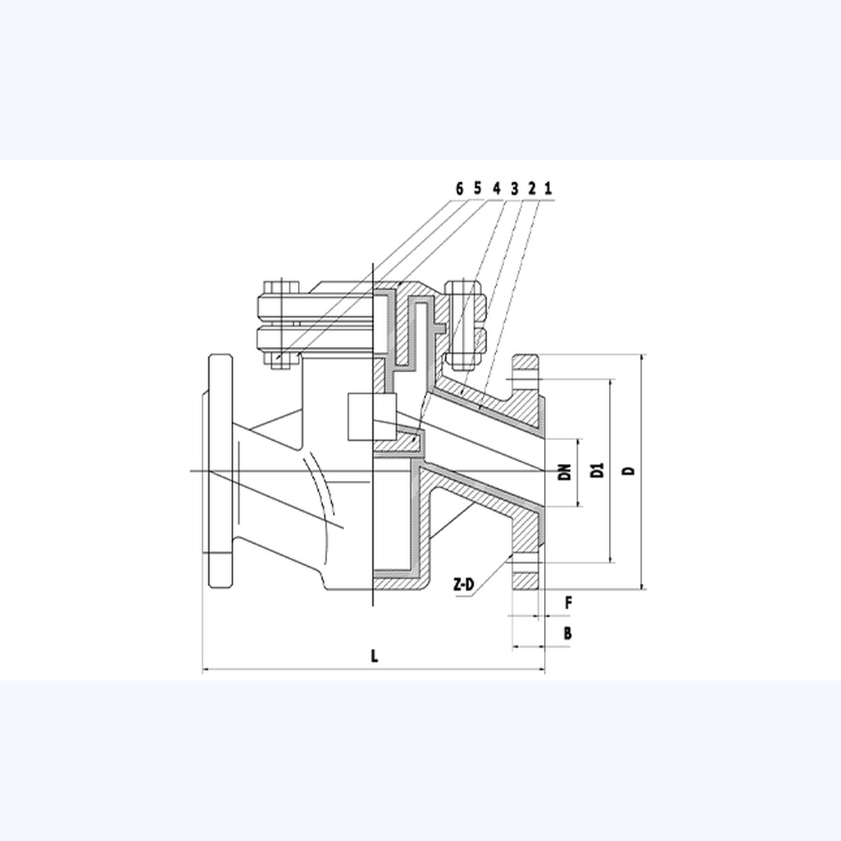 H41F46-10C Check Valve