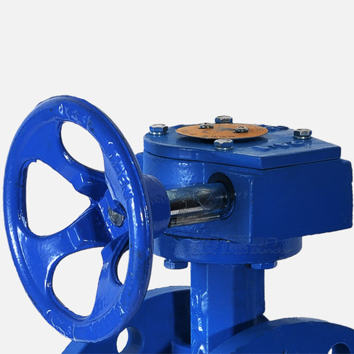 D341X Butterfly Valve product view