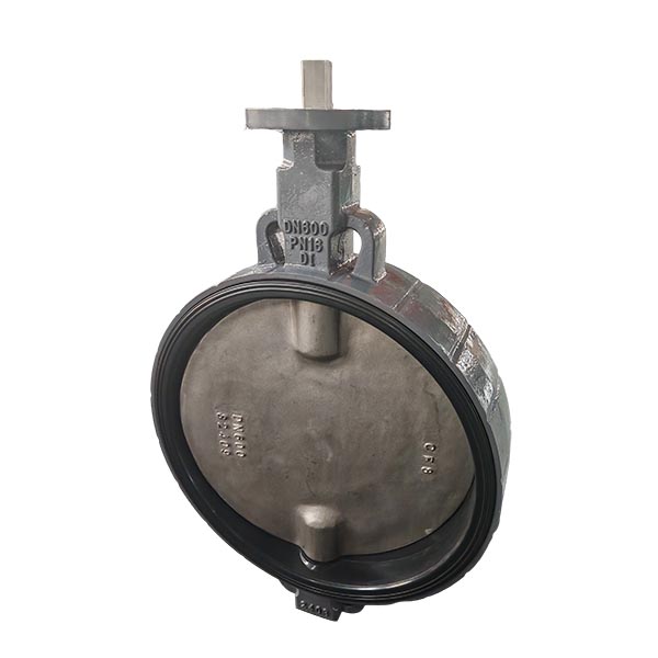 PN16 DN600 Double Shaft Wafer Butterfly Valve