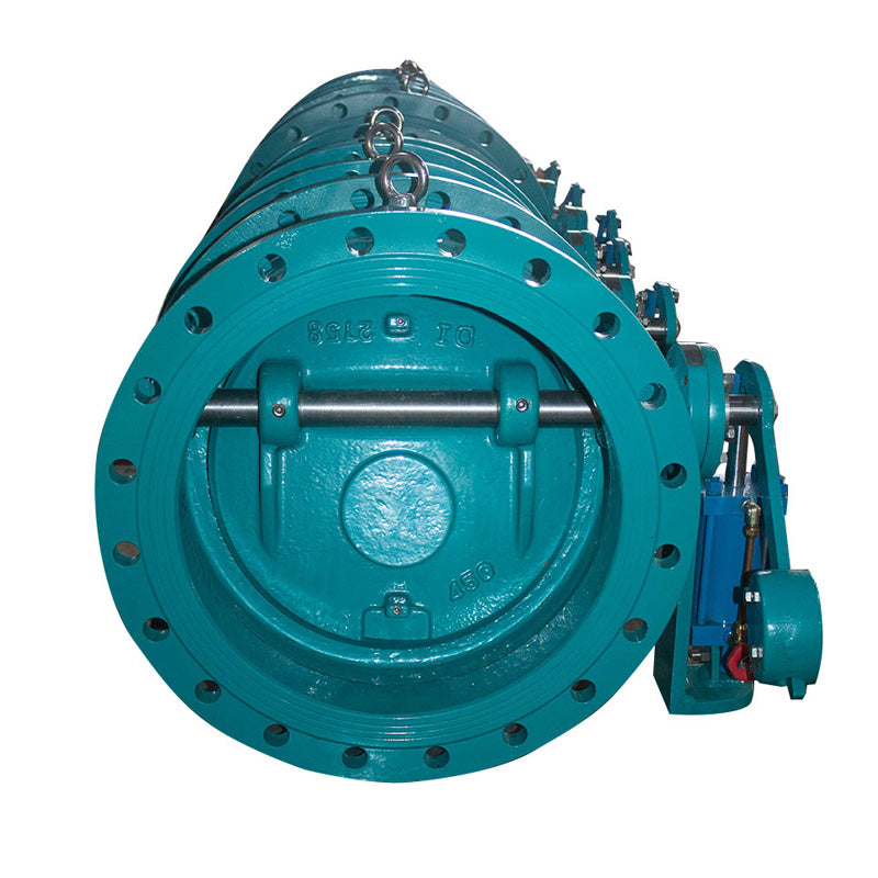 Tilting Check Valve