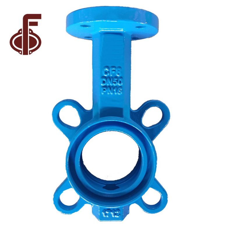 DI CI SS304 SS316 Butterfly Valve Body