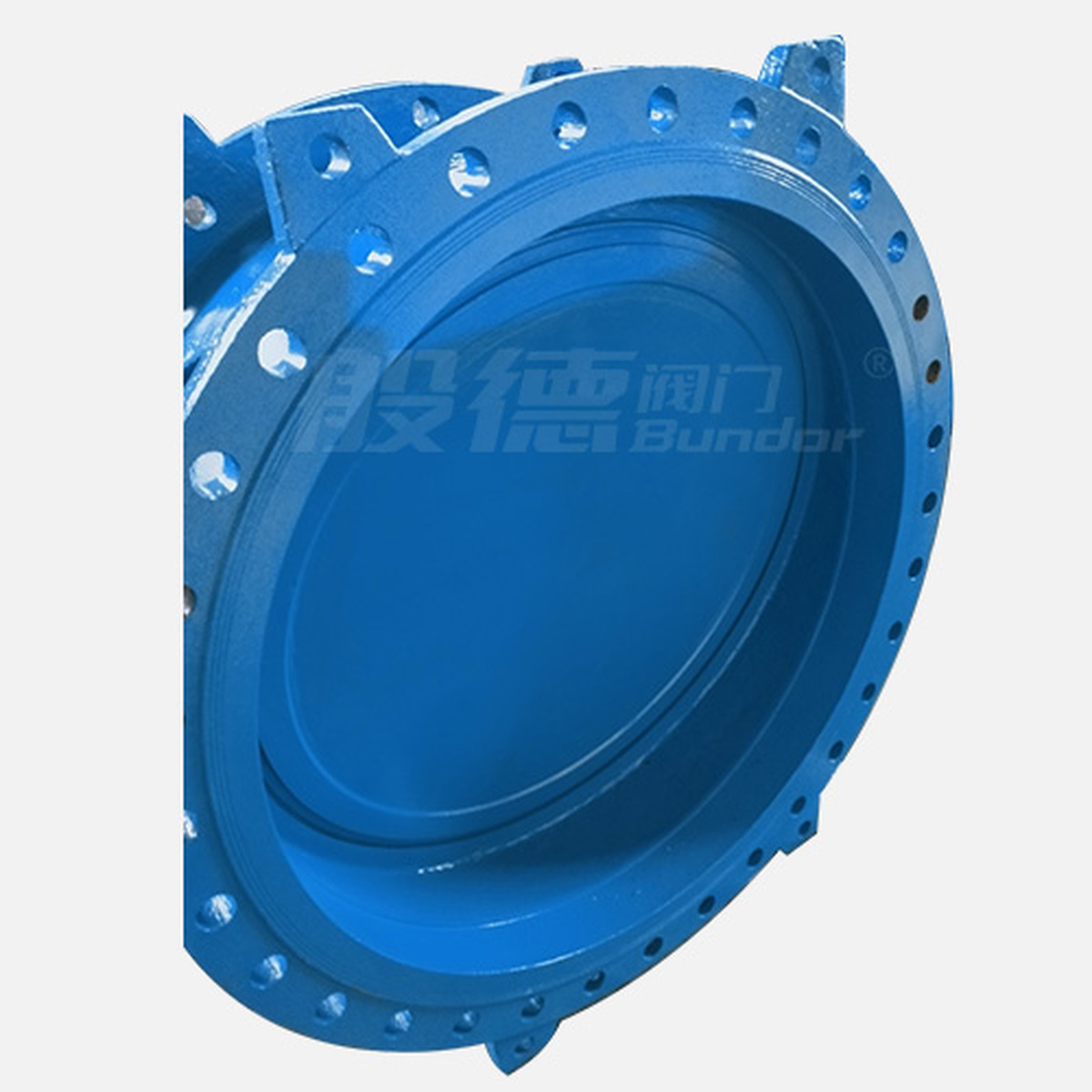 HH47X Check Valve