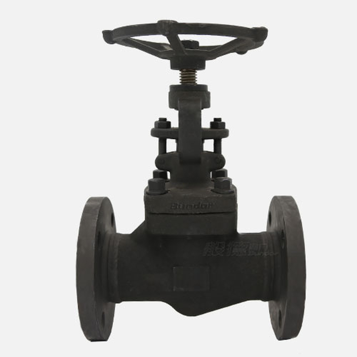 J41H Globe Valve
