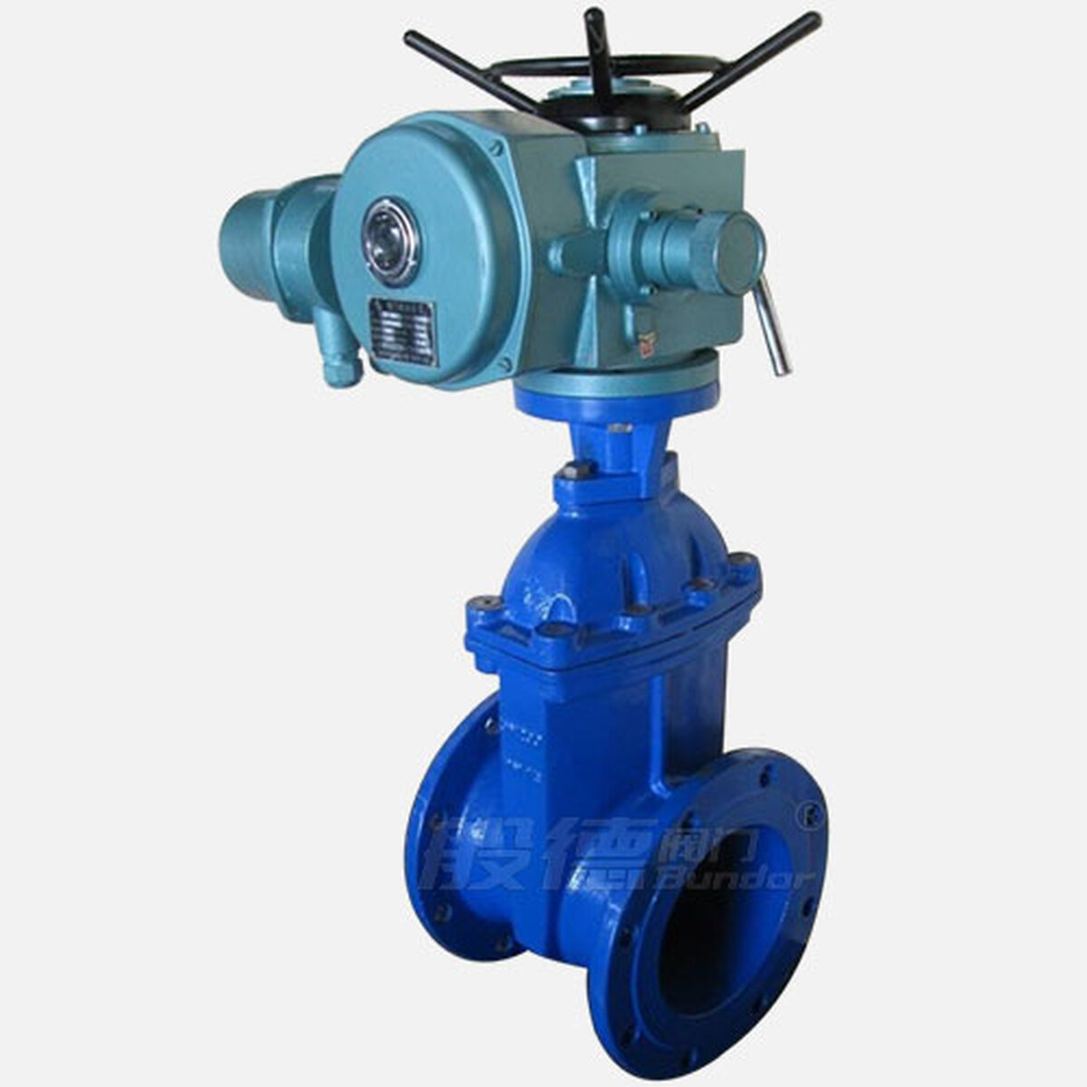 Z945X Gate Valve product view