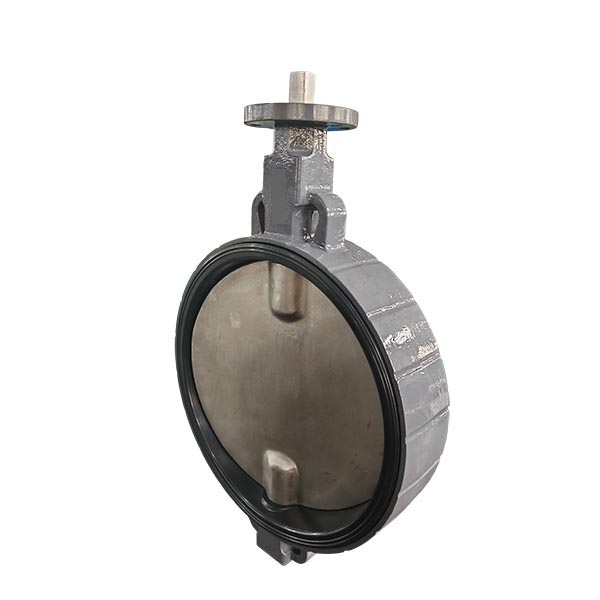 PN16 DN600 Double Shaft Wafer Butterfly Valve