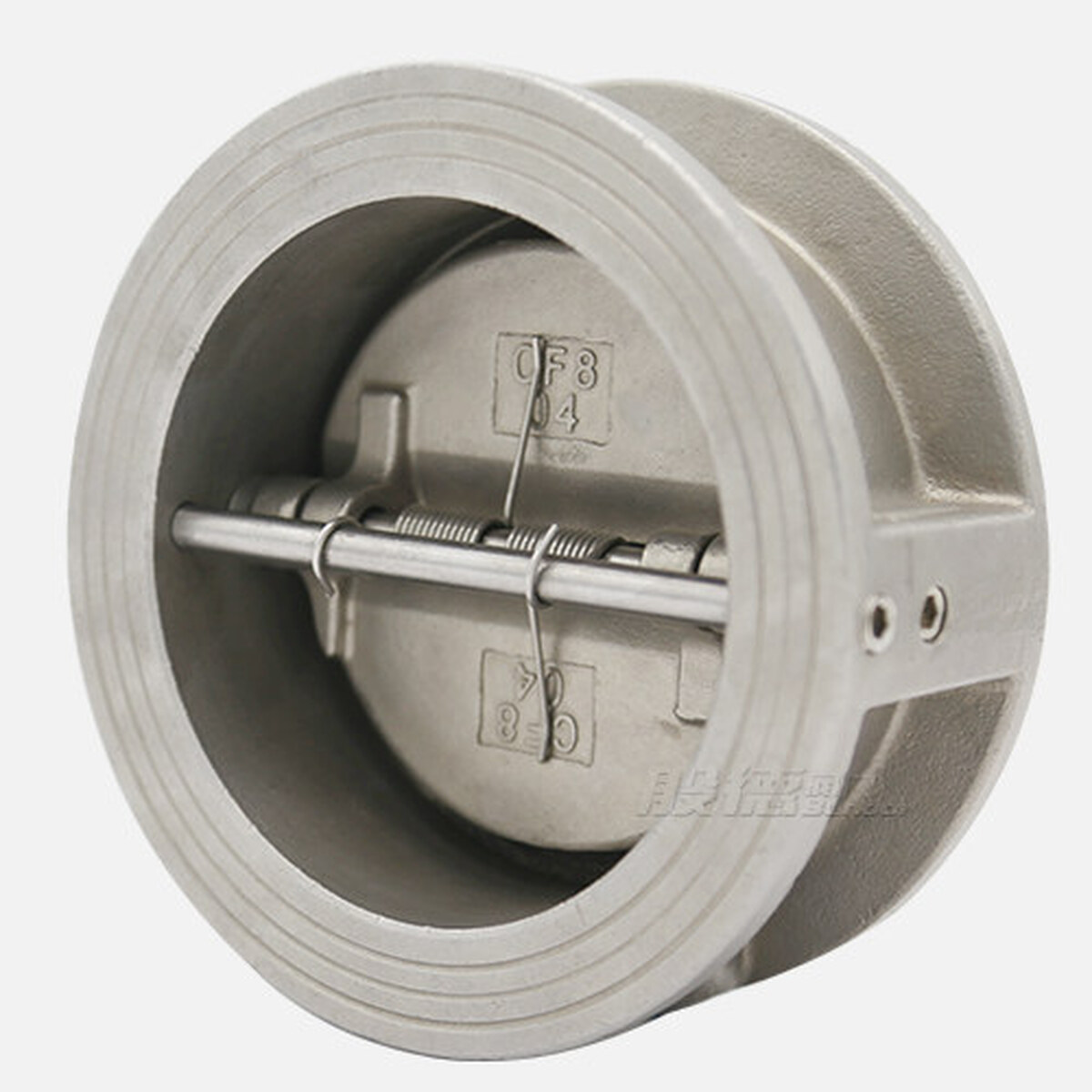 DN100 Check Valve