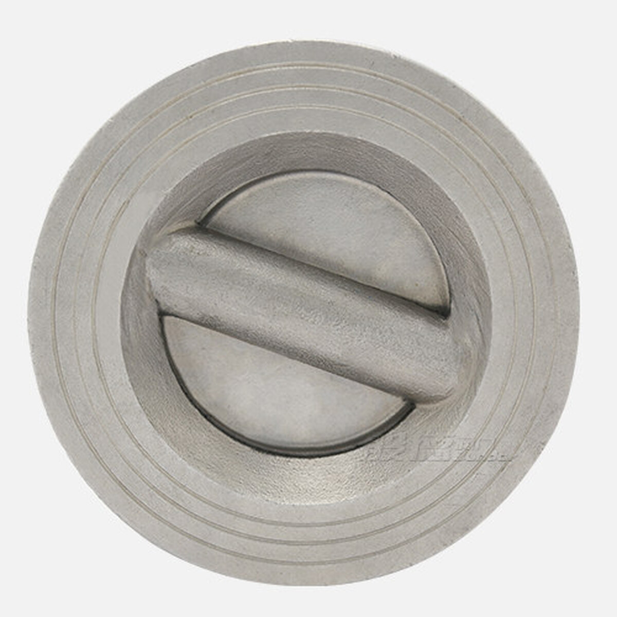 DN100 Check Valve
