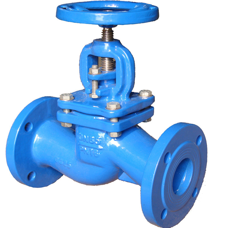 ANSI Globe Valve product view