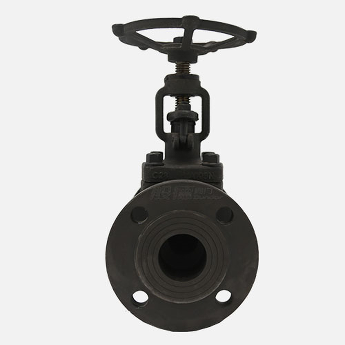 J41H Globe Valve