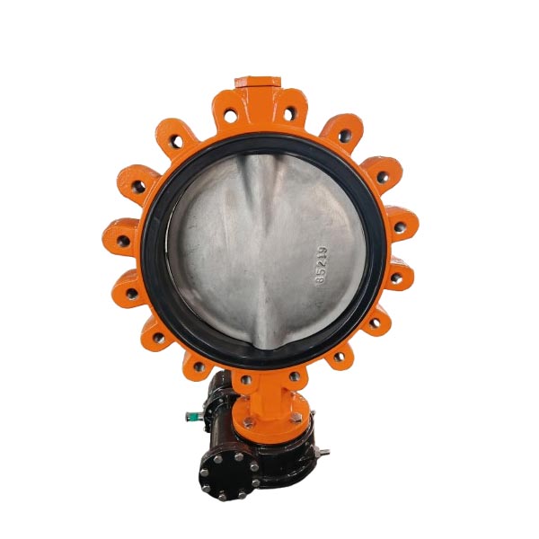 Two Shaft Replaceable Seat Lug Butterfly Valve DN400 PN10