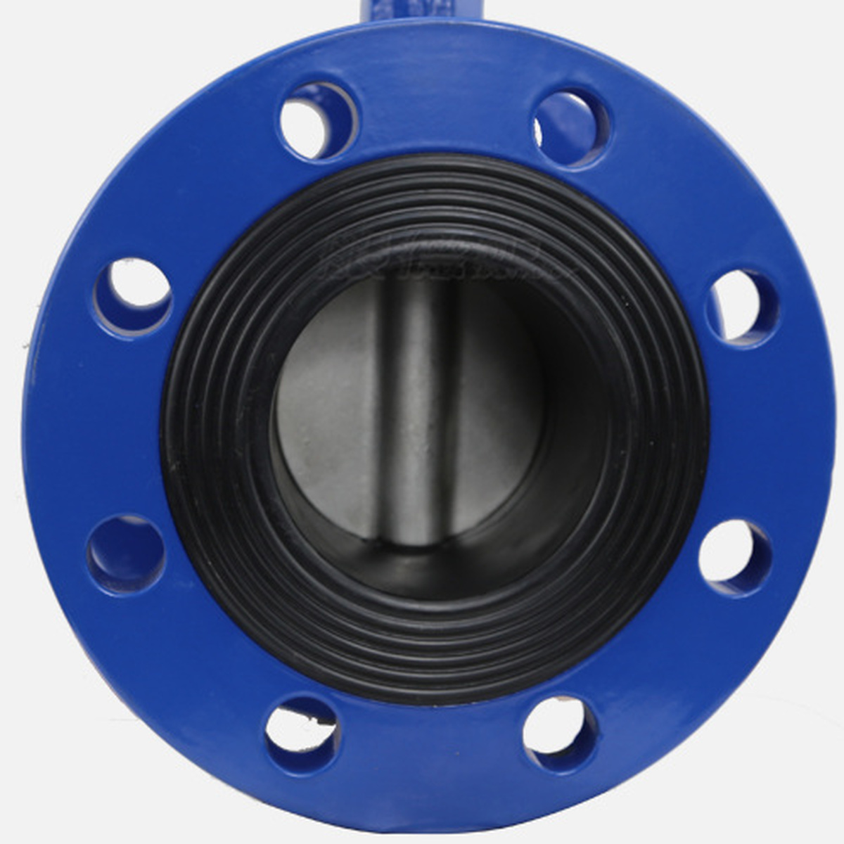 D41X Butterfly Valve product view