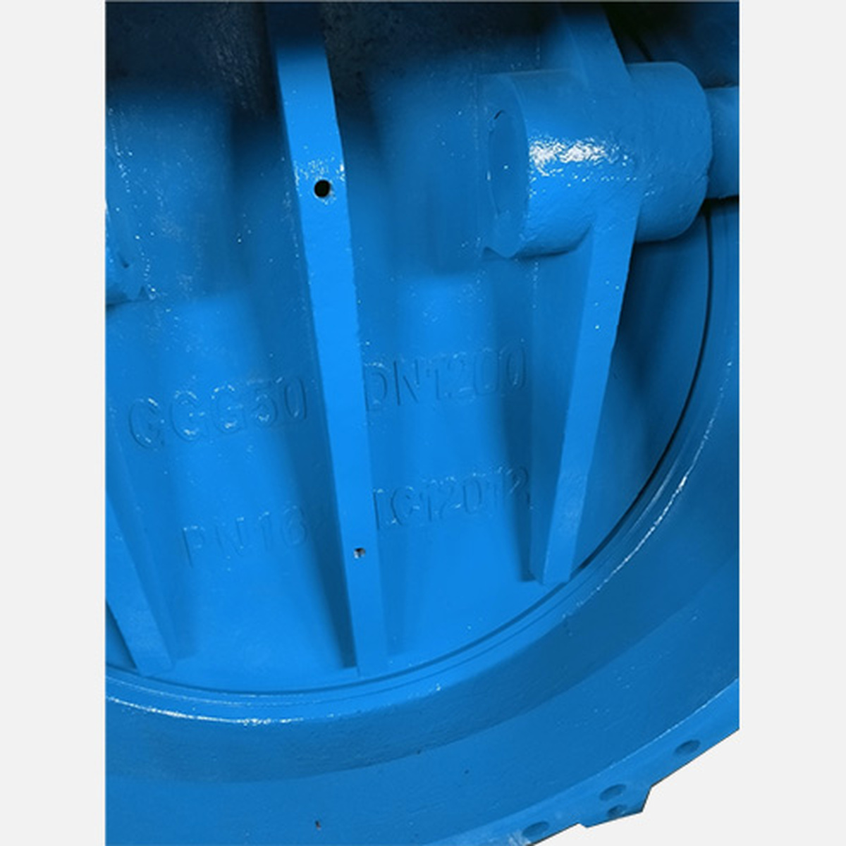 HH47X Check Valve