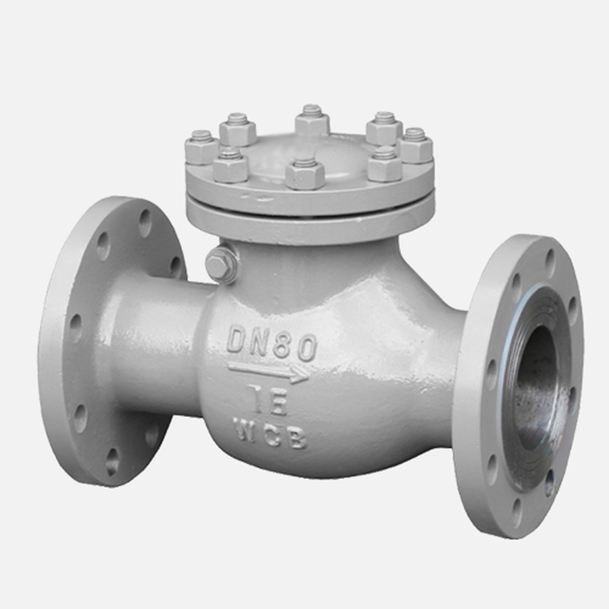 H44H-16C Check Valve