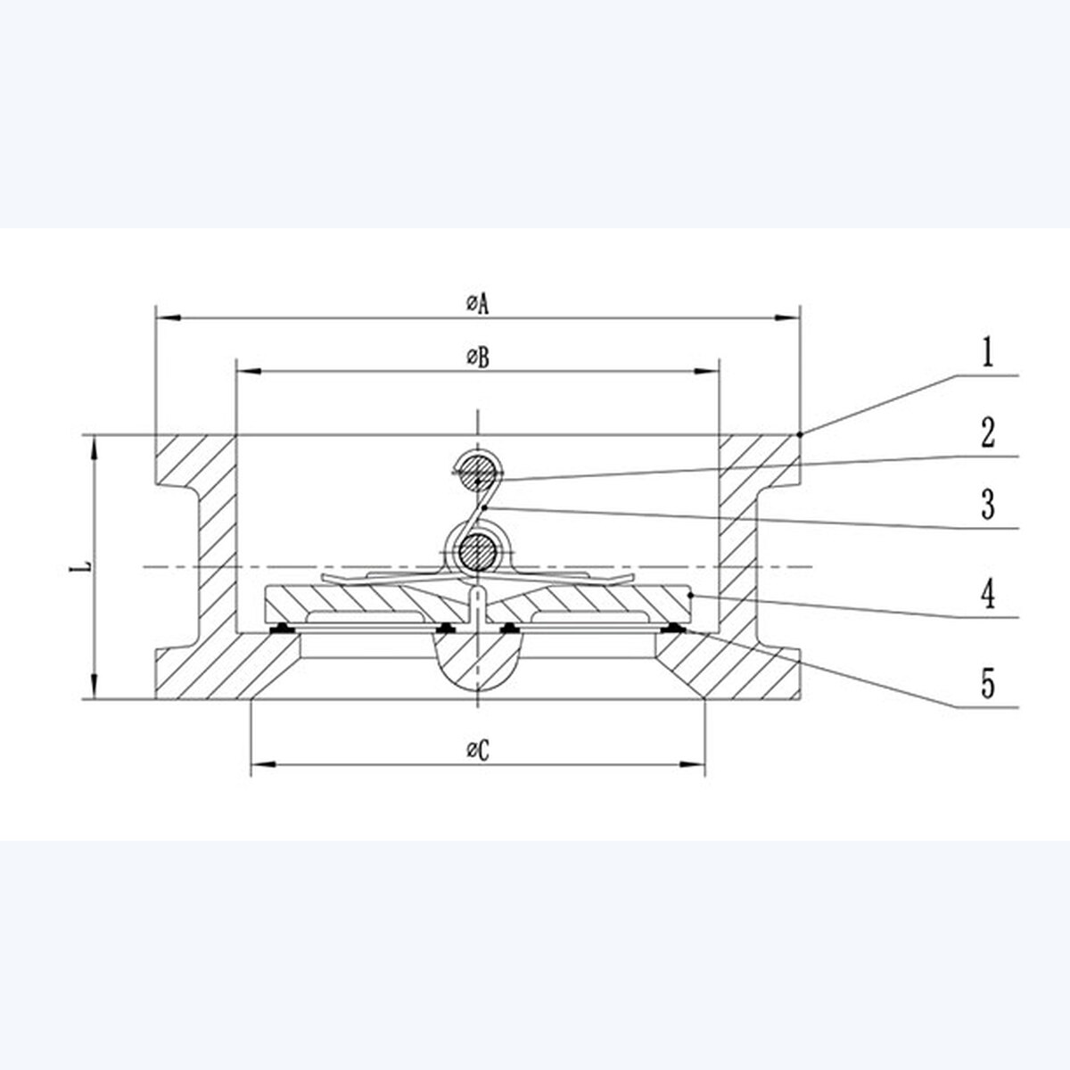 DH77X-16Q Check Valve product view