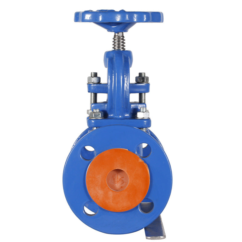 DIN Cast Iron Globe Valve