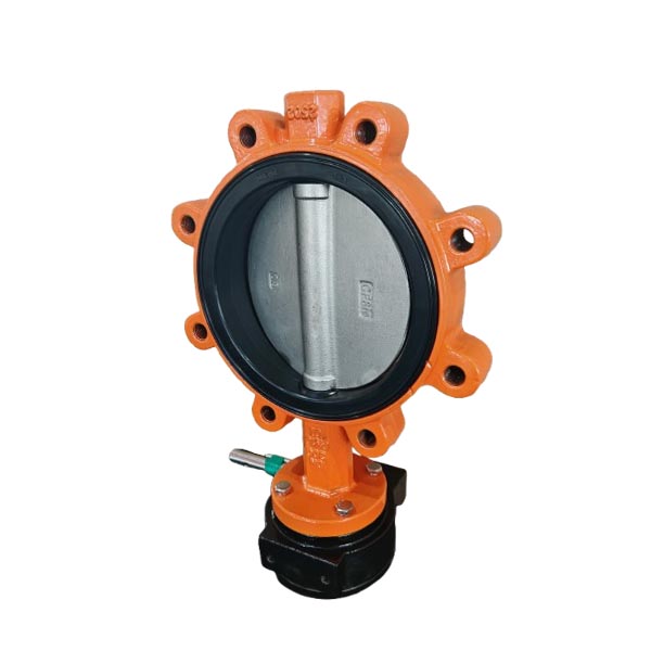 Replaceable Seat CF8M Disc Lug Butterfly Valve DN250 PN10 10Inch