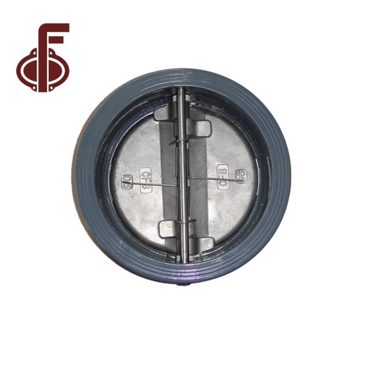 DI CI SS304 Dual Plate Check Valve
