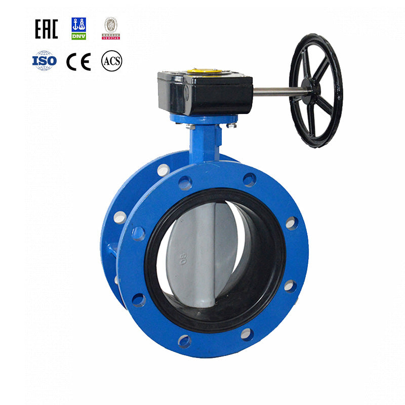 Double Flange Butterfly Valve product view