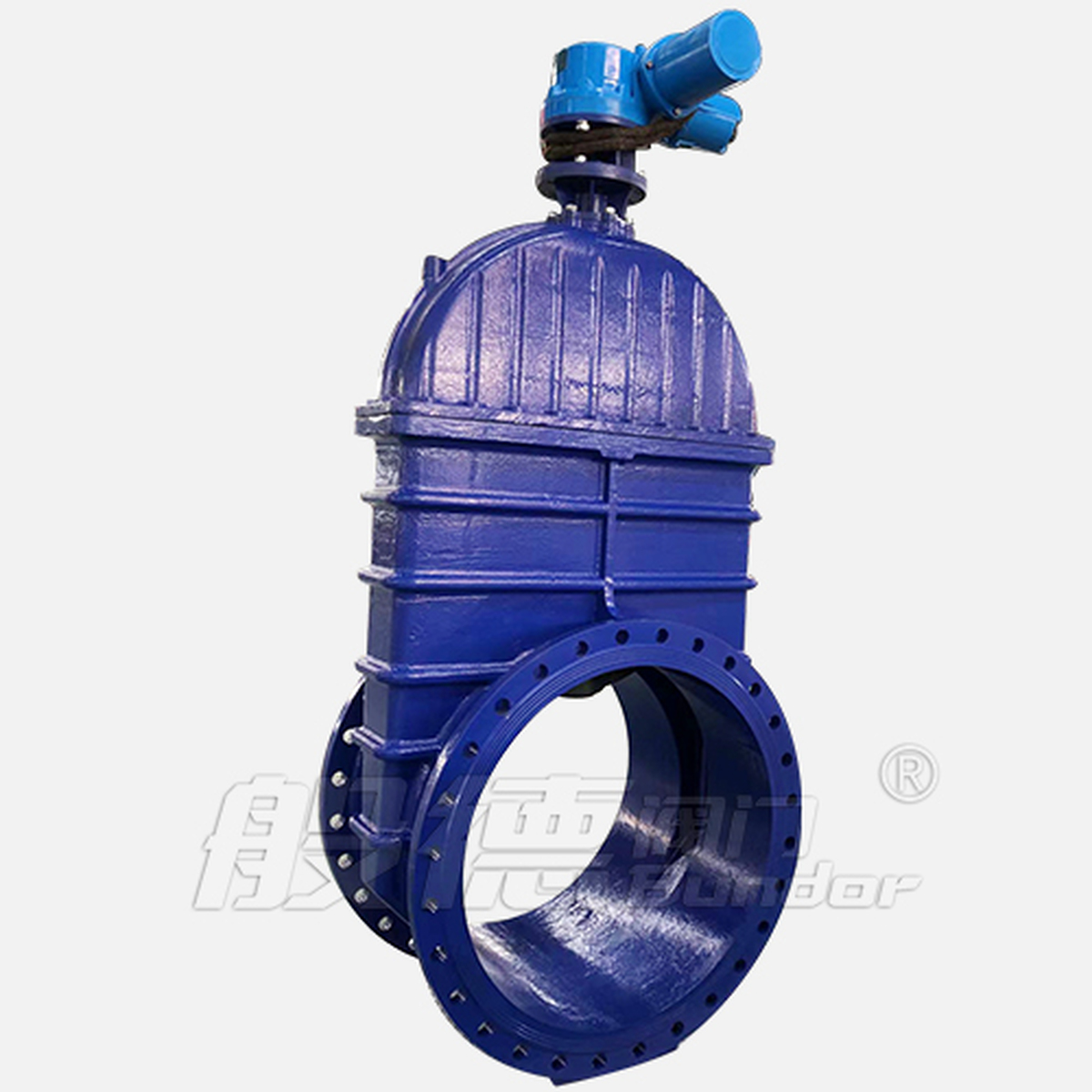 Z945X Gate Valve product view