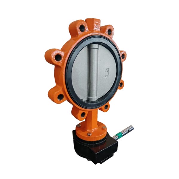 Replaceable Seat CF8M Disc Lug Butterfly Valve DN250 PN10 10Inch