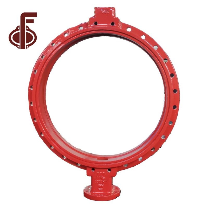 DI CI SS304 SS316 Butterfly Valve Body