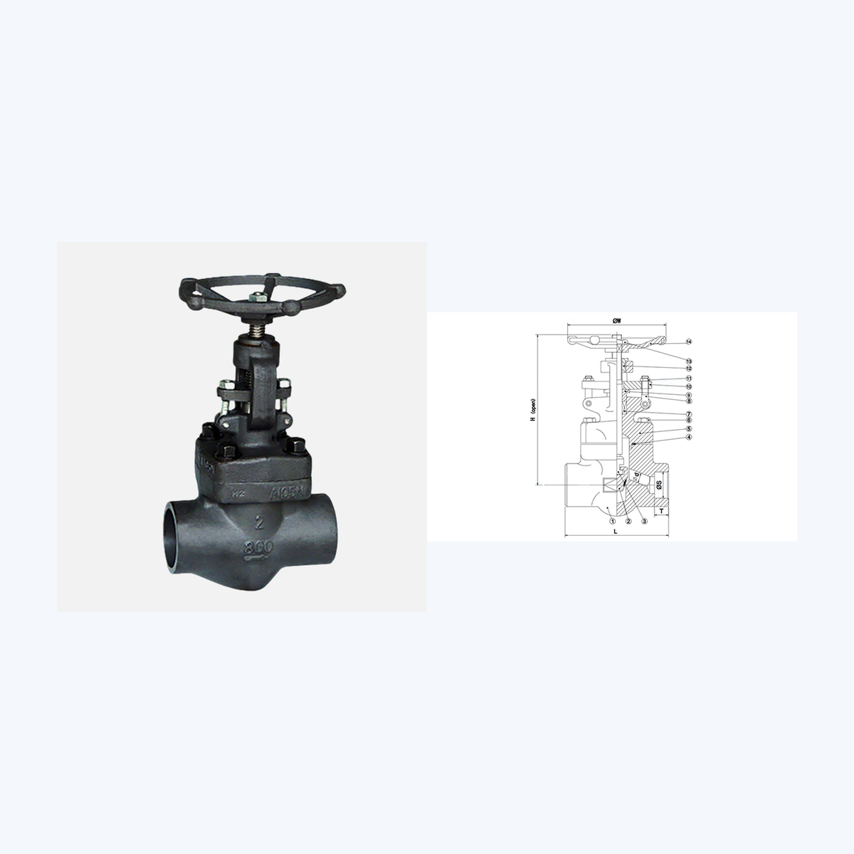 J61H Globe Valve