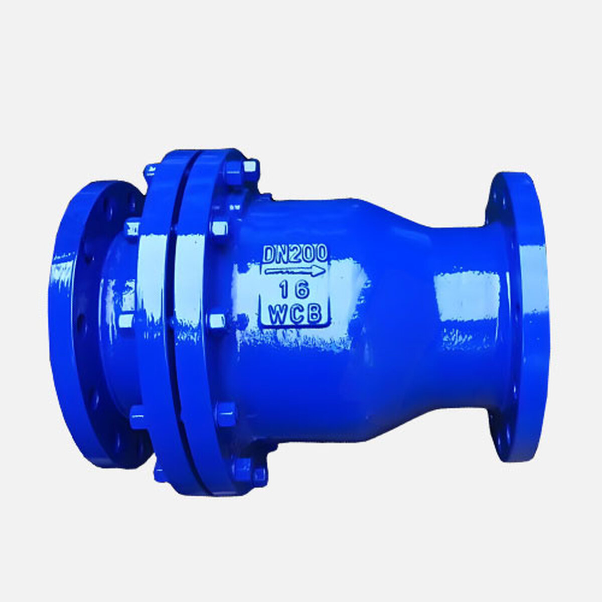 H44F46-10C Check Valve