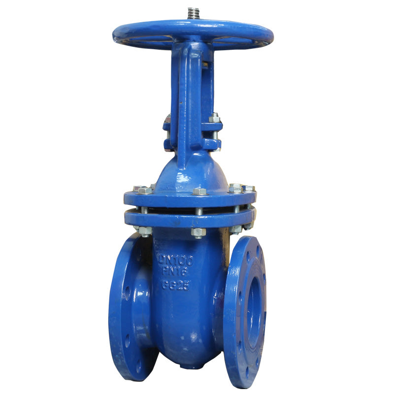 Rising Stem Solid Wedge Gate Valve