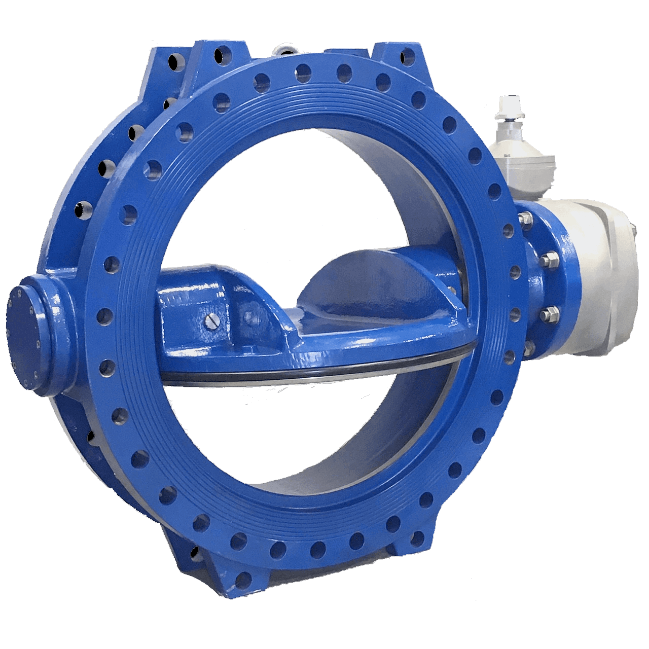 AWWA C504 Double Eccentric Butterfly Valve product view