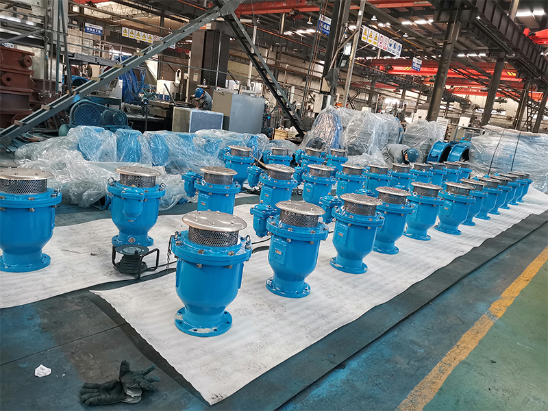 Ggg50 DN200 Pn10 Air Release Valve