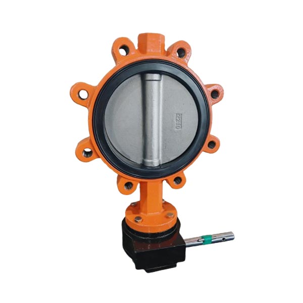 Replaceable Seat CF8M Disc Lug Butterfly Valve DN250 PN10 10Inch
