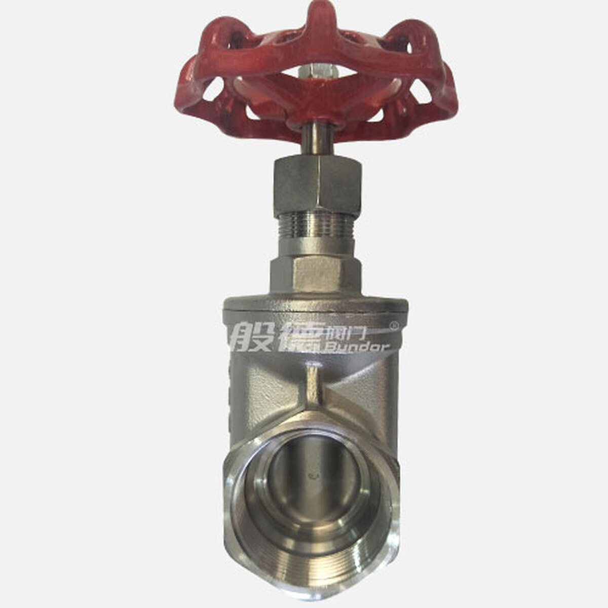 Z15W-16P Gate Valve product view