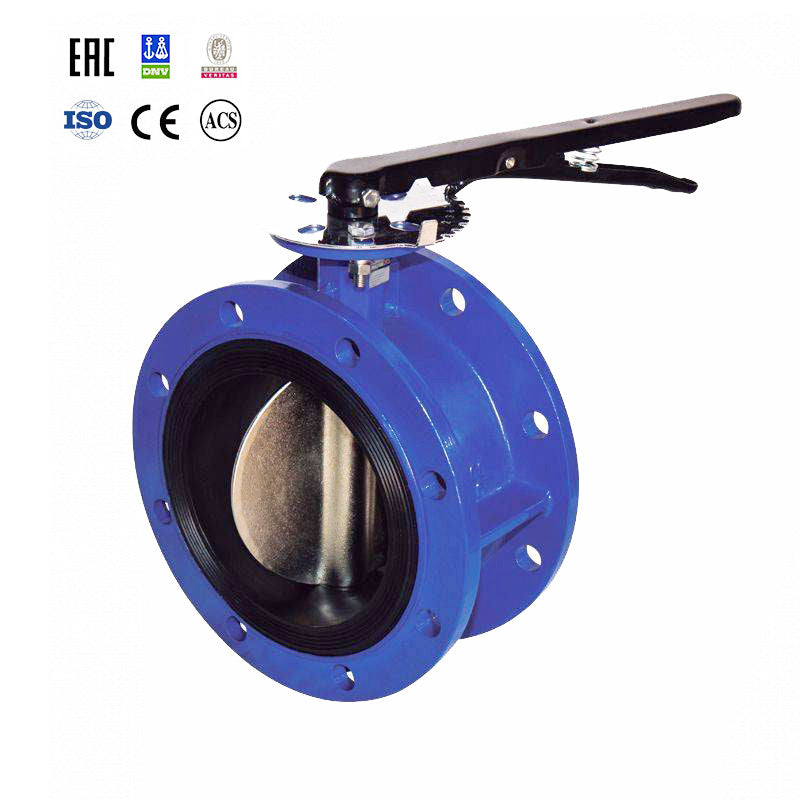 Double Flange Butterfly Valve product view