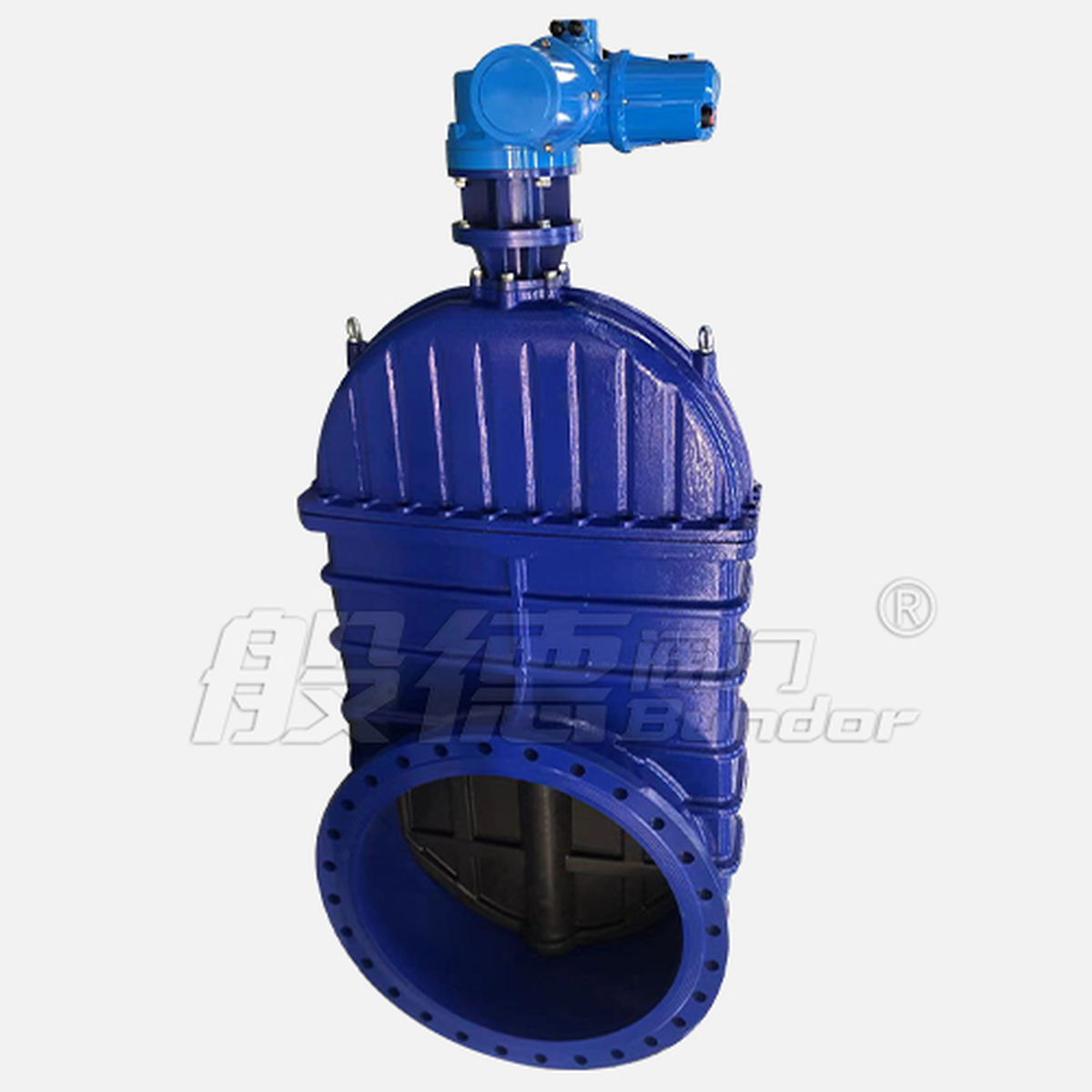 Z945X Gate Valve product view