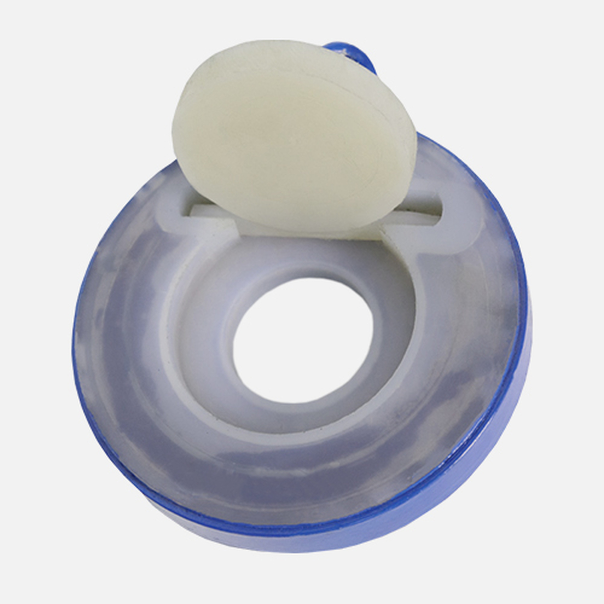 H74F46-10C Check Valve