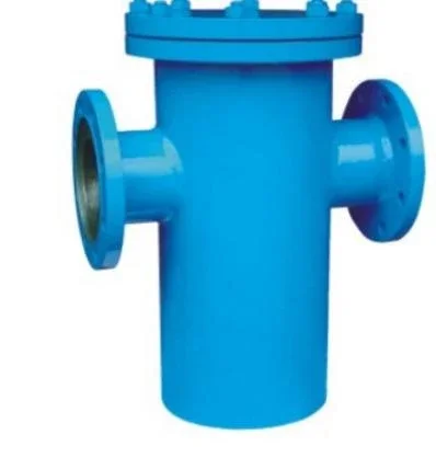 Basket Type Strainer