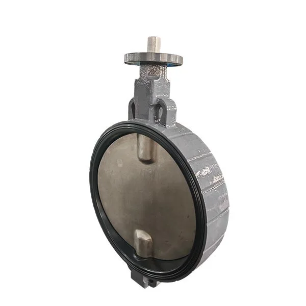 PN16 DN600 Double Shaft Wafer Butterfly Valve product view